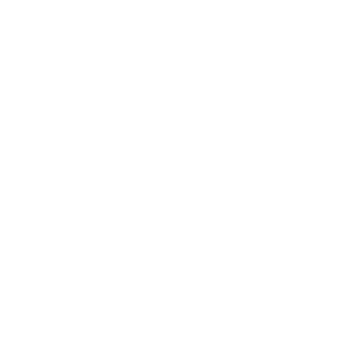 Techy IT Solutions